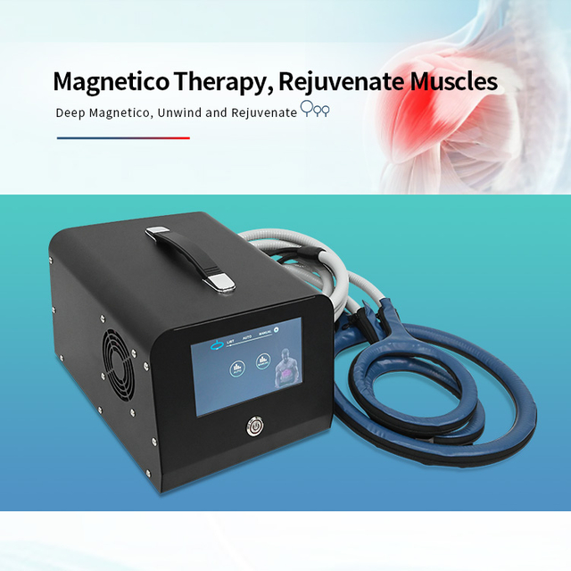 Macchina per terapia magnetica Pemf per cavalli Attrezzatura per alleviare il dolore pulsato con ciclo di magnetoterapia